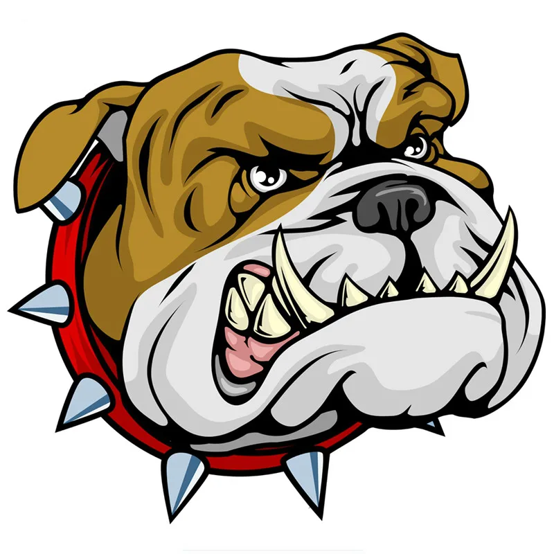 Pet Portrait Custom - Nuovo Design vendita calda Super Angry