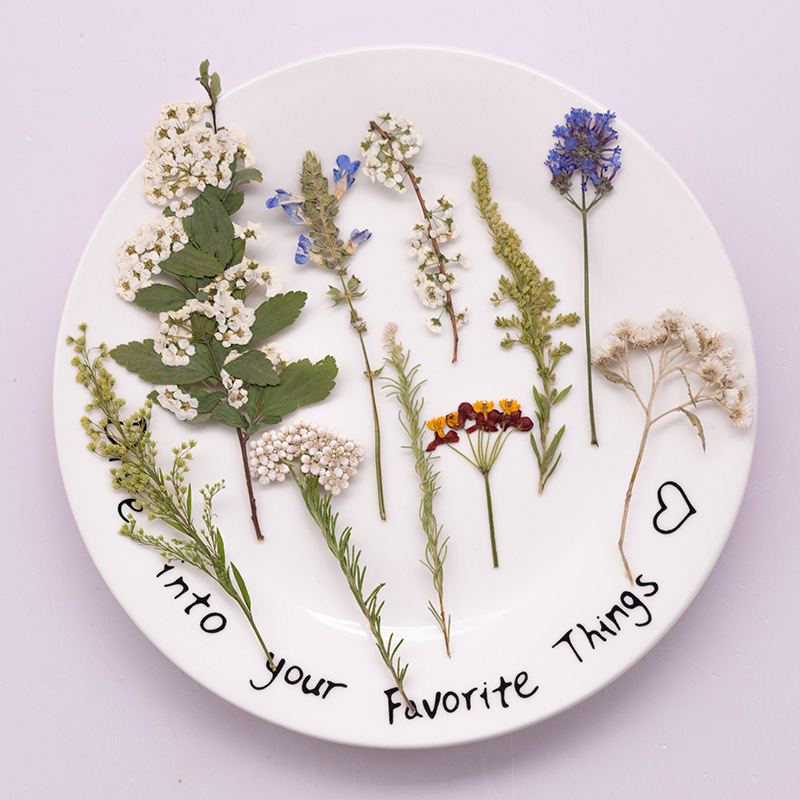 Dried Flower Bookmark - Confezione da 500 Pezzi di Fiori