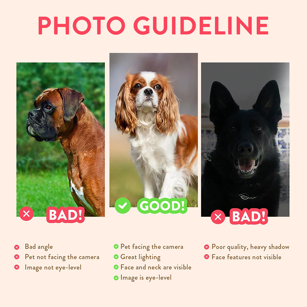 Ritratti Personalizzati di Ani - Pet Portrait Custom recensione e prezzo
