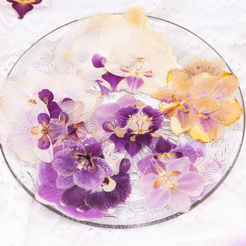 4 Pezzi Fiori di Orchidea Phal - Dried Flower Bookmark recensione e prezzo