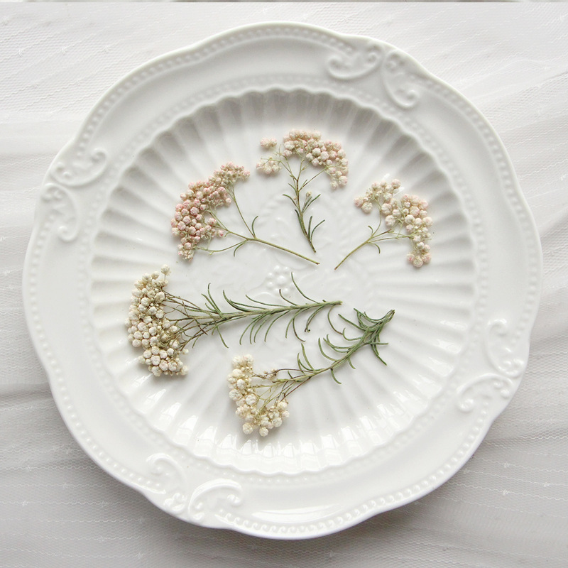 12 Pezzi, Rami di Miglio Natur - Dried Flower Bookmark recensione e prezzo